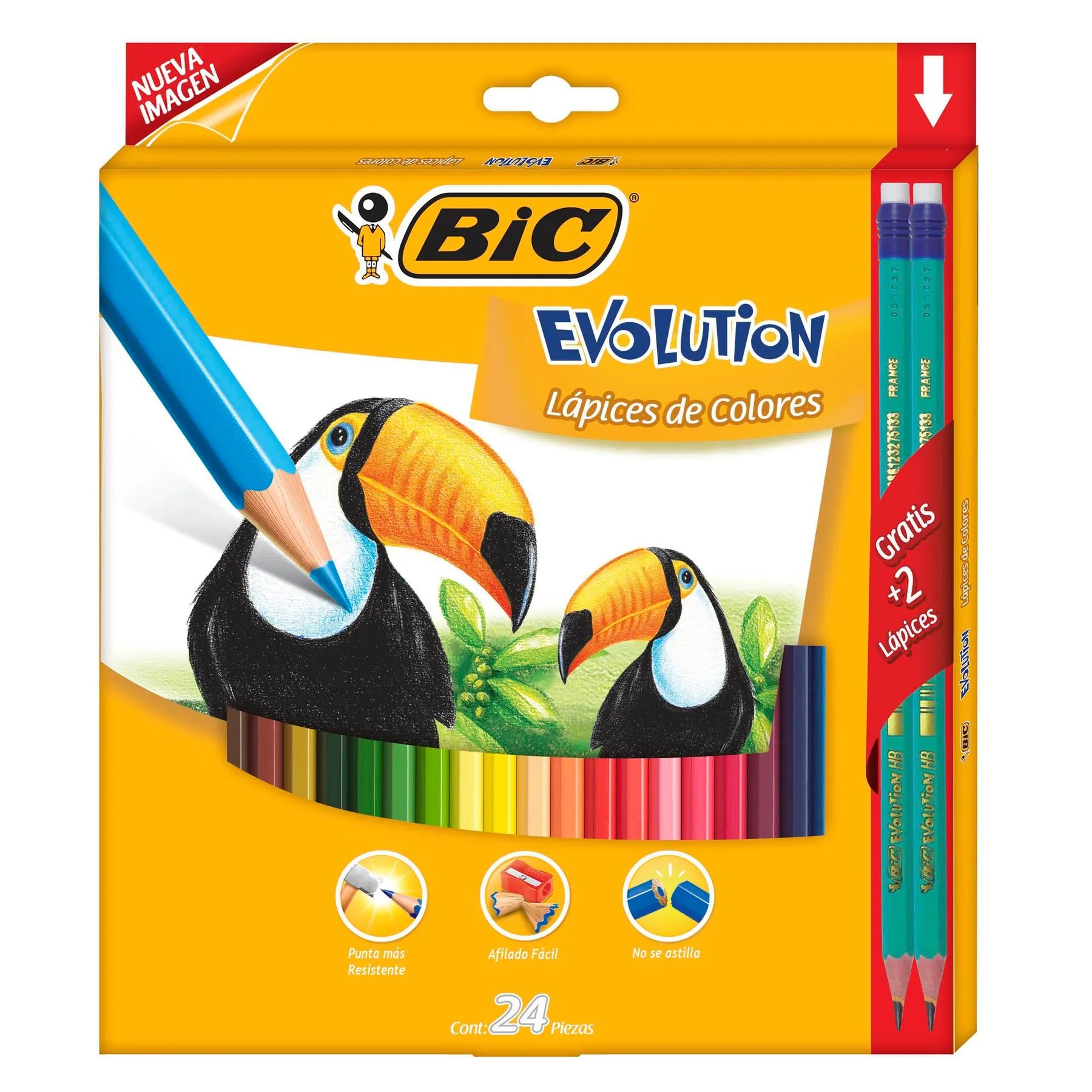 Expercom.mx - Lápices de colores Bic Evolution Hexagonal 24 pzas