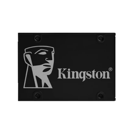 SKC600/256G