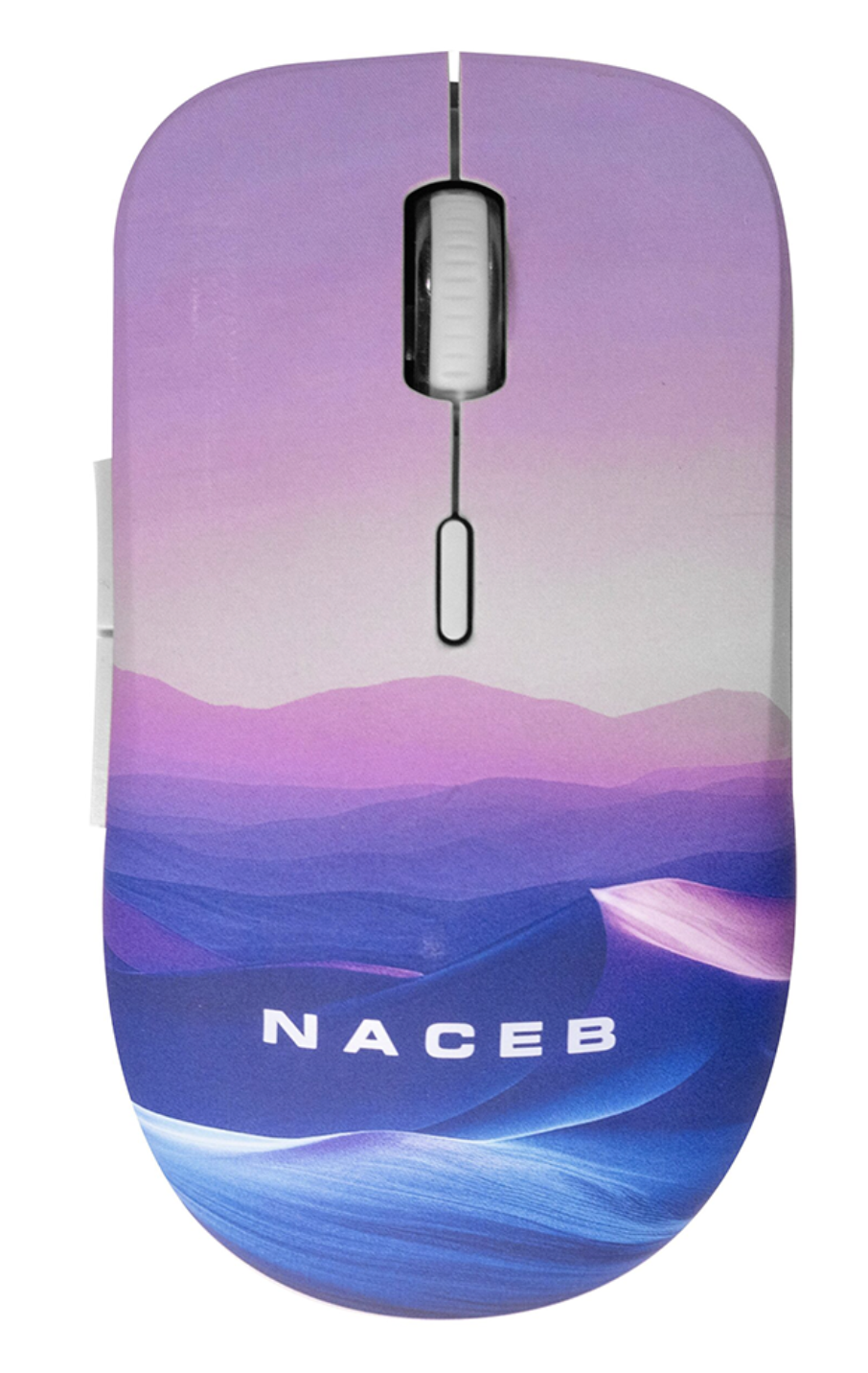 Na-0138B