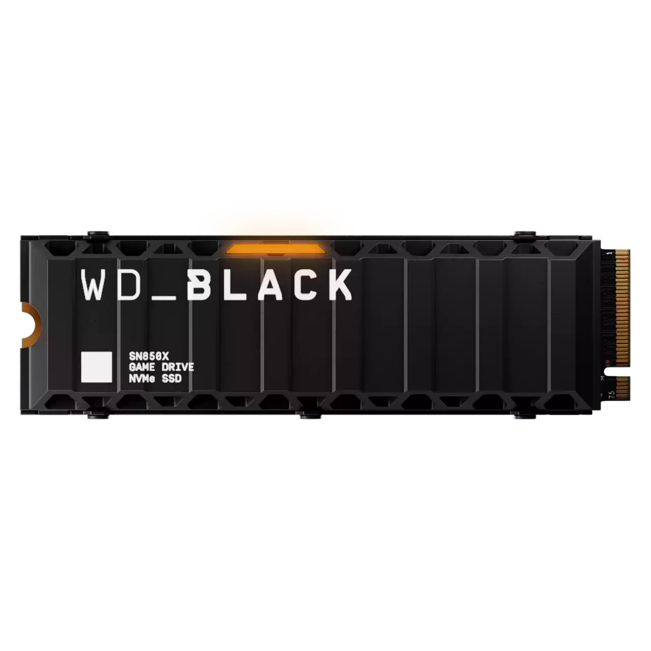 WDS800T2XHE,718037904924