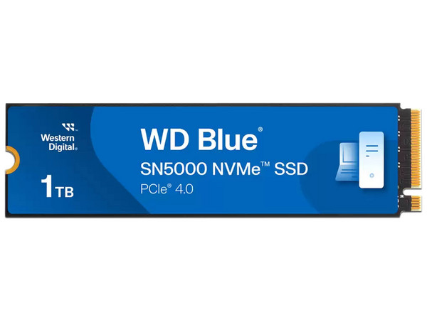 WDS100T4B0E-00CNZ0,718037894843