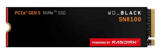 WDS100T1X0M