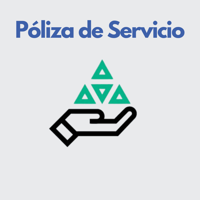 P贸liza de Servicio