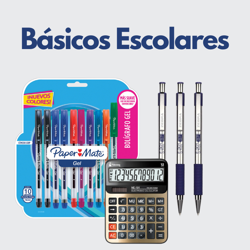 B谩sicos escolares