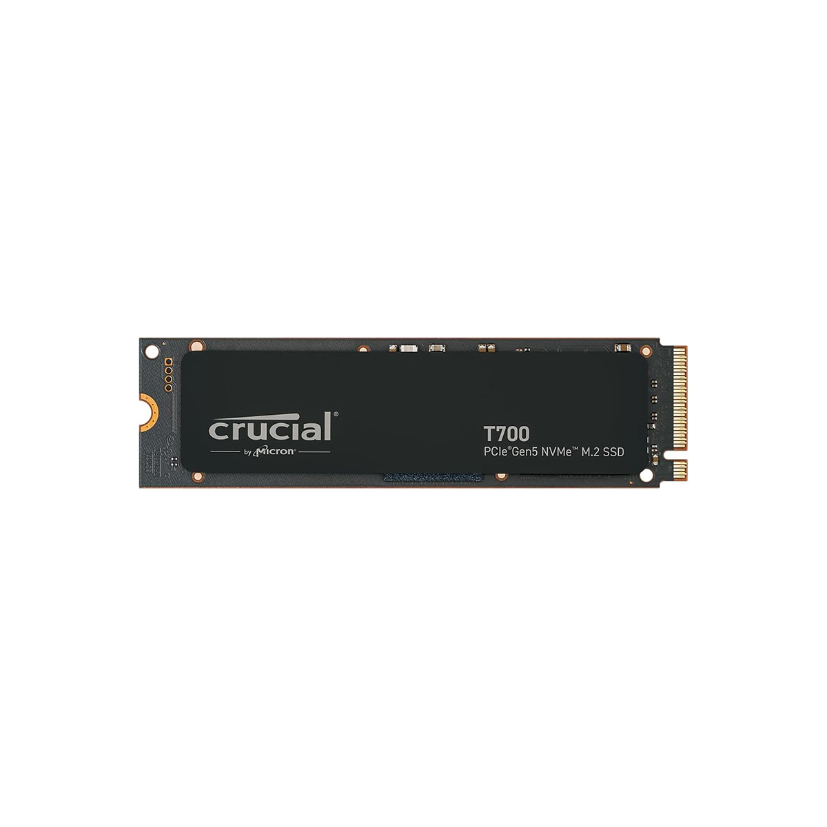 CT1000T700SSD3